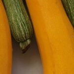 Glazed Squash — Medical Weight Loss Clinic